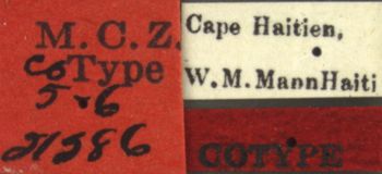 Media type: image; Entomology 21286   Aspect: labels